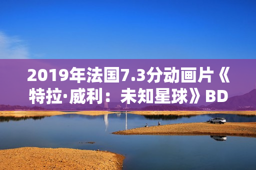 2019年法国7.3分动画片《特拉·威利：未知星球》BD国法双语中字