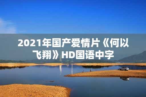 2021年国产爱情片《何以飞翔》HD国语中字