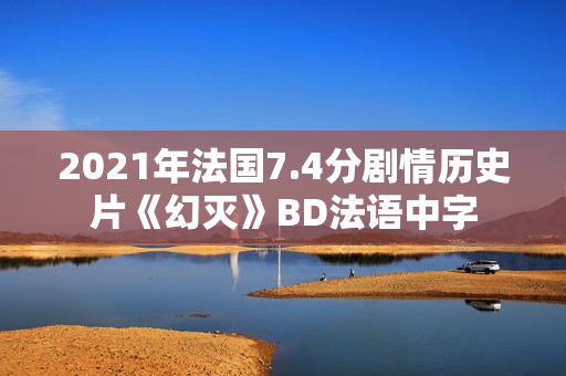 2021年法国7.4分剧情历史片《幻灭》BD法语中字