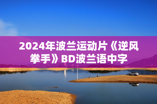 2024年波兰运动片《逆风拳手》BD波兰语中字