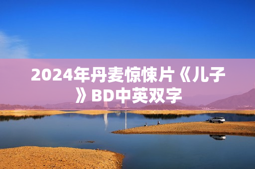 2024年丹麦惊悚片《儿子》BD中英双字