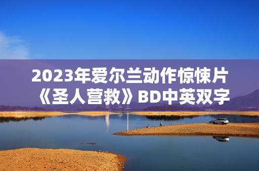 2023年爱尔兰动作惊悚片《圣人营救》BD中英双字