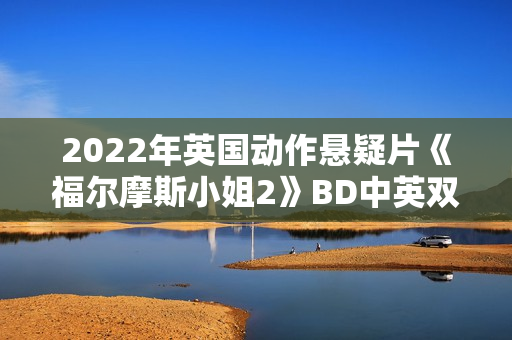 2022年英国动作悬疑片《福尔摩斯小姐2》BD中英双字