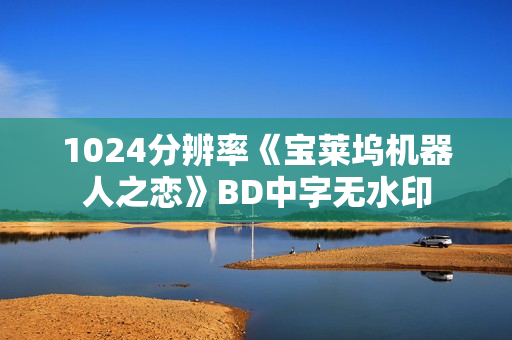 1024分辨率《宝莱坞机器人之恋》BD中字无水印