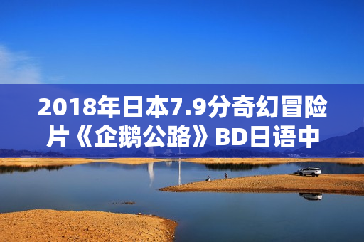 2018年日本7.9分奇幻冒险片《企鹅公路》BD日语中字