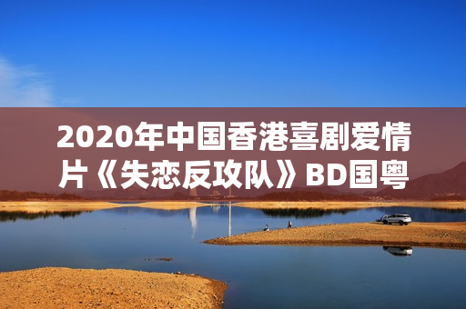 2020年中国香港喜剧爱情片《失恋反攻队》BD国粤双语中字