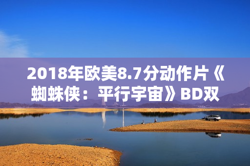 2018年欧美8.7分动作片《蜘蛛侠：平行宇宙》BD双语双字