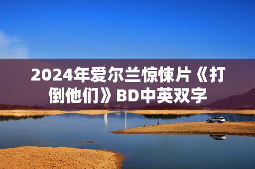 2024年爱尔兰惊悚片《打倒他们》BD中英双字