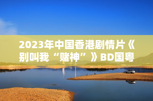 2023年中国香港剧情片《别叫我“赌神”》BD国粤双语中字