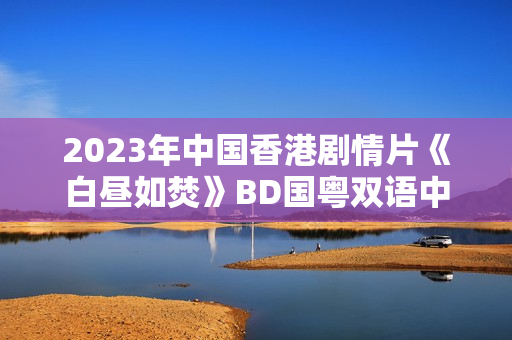 2023年中国香港剧情片《白昼如焚》BD国粤双语中字