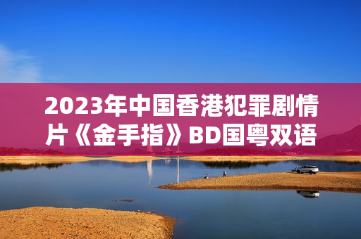 2023年中国香港犯罪剧情片《金手指》BD国粤双语中字