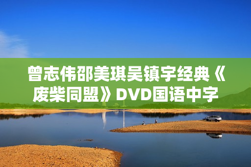 曾志伟邵美琪吴镇宇经典《废柴同盟》DVD国语中字