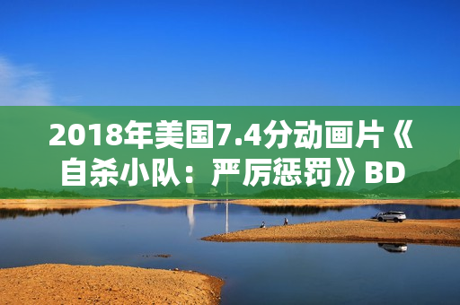 2018年美国7.4分动画片《自杀小队：严厉惩罚》BD中字