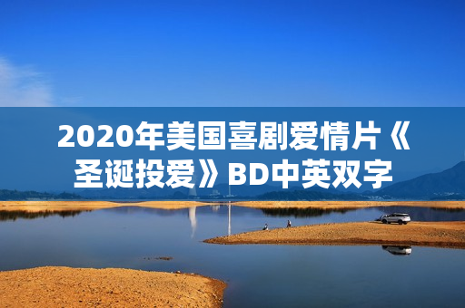 2020年美国喜剧爱情片《圣诞投爱》BD中英双字