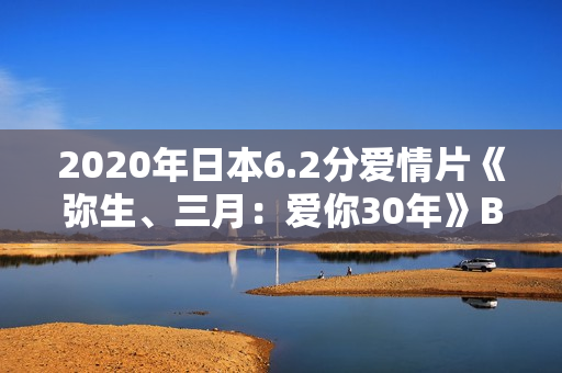 2020年日本6.2分爱情片《弥生、三月：爱你30年》BD日语中字