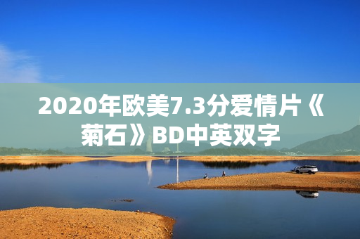 2020年欧美7.3分爱情片《菊石》BD中英双字