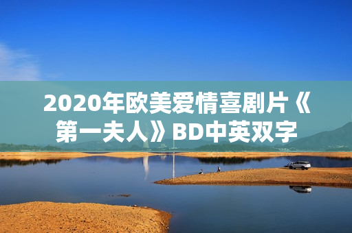 2020年欧美爱情喜剧片《第一夫人》BD中英双字