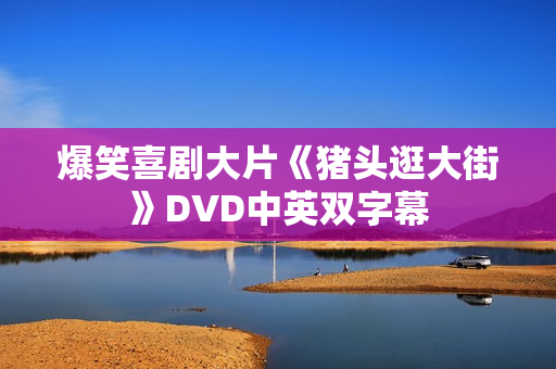 爆笑喜剧大片《猪头逛大街》DVD中英双字幕