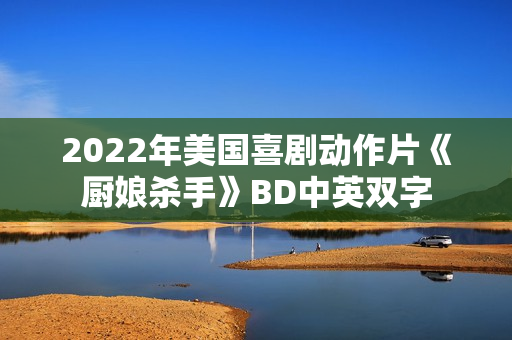 2022年美国喜剧动作片《厨娘杀手》BD中英双字