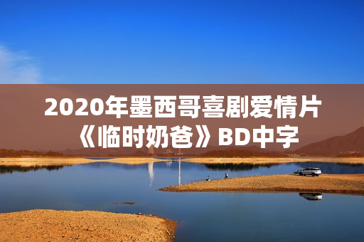 2020年墨西哥喜剧爱情片《临时奶爸》BD中字