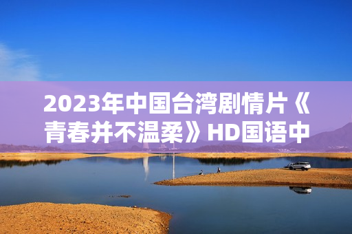 2023年中国台湾剧情片《青春并不温柔》HD国语中字