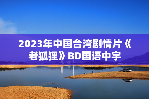 2023年中国台湾剧情片《老狐狸》BD国语中字