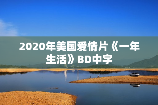 2020年美国爱情片《一年生活》BD中字