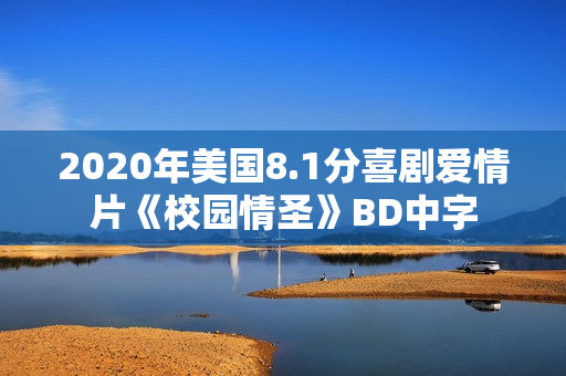 2020年美国8.1分喜剧爱情片《校园情圣》BD中字