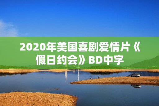 2020年美国喜剧爱情片《假日约会》BD中字