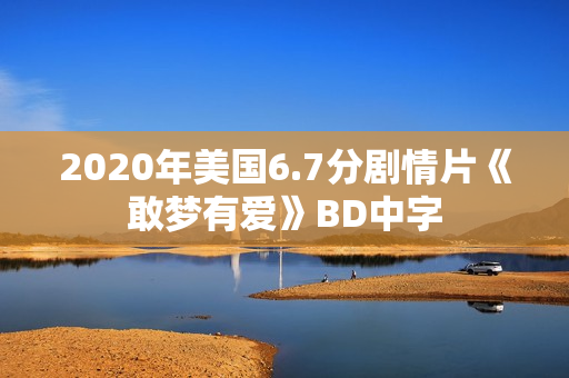 2020年美国6.7分剧情片《敢梦有爱》BD中字