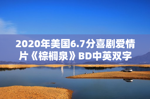2020年美国6.7分喜剧爱情片《棕榈泉》BD中英双字