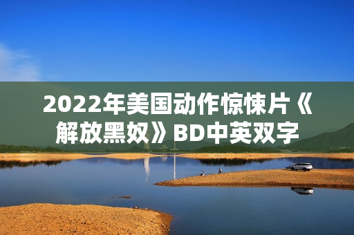 2022年美国动作惊悚片《解放黑奴》BD中英双字