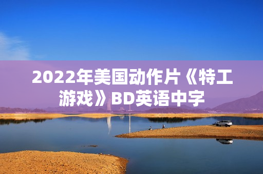 2022年美国动作片《特工游戏》BD英语中字