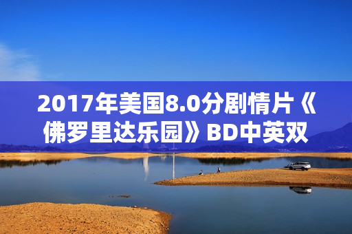 2017年美国8.0分剧情片《佛罗里达乐园》BD中英双字