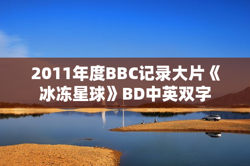2011年度BBC记录大片《冰冻星球》BD中英双字