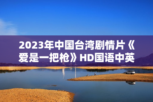 2023年中国台湾剧情片《爱是一把枪》HD国语中英双字