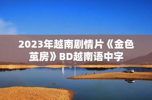 2023年越南剧情片《金色茧房》BD越南语中字