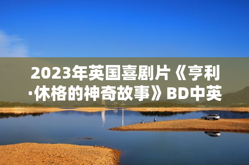 2023年英国喜剧片《亨利·休格的神奇故事》BD中英双字