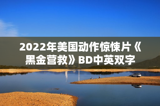 2022年美国动作惊悚片《黑金营救》BD中英双字