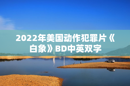 2022年美国动作犯罪片《白象》BD中英双字