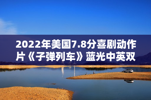 2022年美国7.8分喜剧动作片《子弹列车》蓝光中英双字