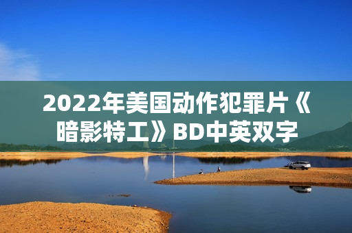 2022年美国动作犯罪片《暗影特工》BD中英双字