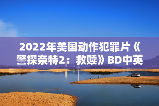 2022年美国动作犯罪片《警探奈特2：救赎》BD中英双字