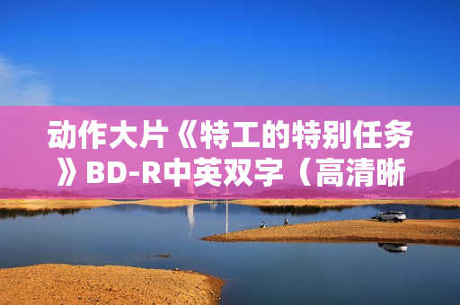 动作大片《特工的特别任务》BD-R中英双字（高清晰版）