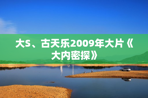 大S、古天乐2009年大片《大内密探》