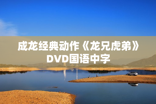 成龙经典动作《龙兄虎弟》DVD国语中字