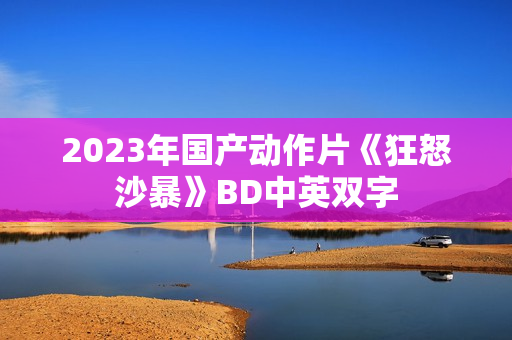 2023年国产动作片《狂怒沙暴》BD中英双字 2023年国产动作片《狂怒沙暴》BD中英双字