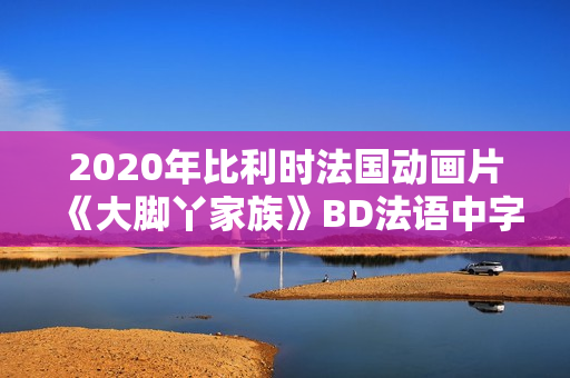 2020年比利时法国动画片《大脚丫家族》BD法语中字