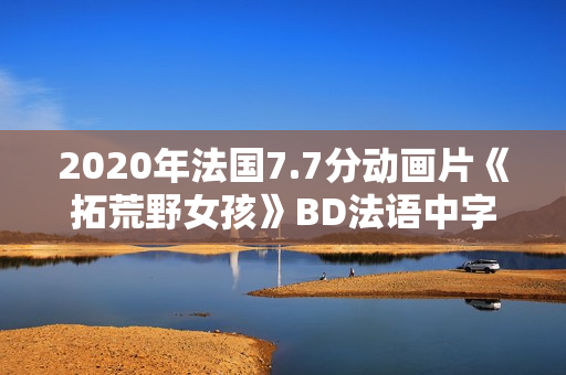 2020年法国7.7分动画片《拓荒野女孩》BD法语中字