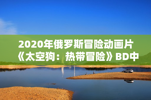 2020年俄罗斯冒险动画片《太空狗：热带冒险》BD中英双字